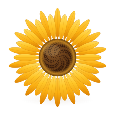 Sunflower Oil